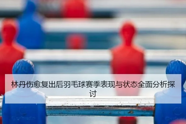 林丹伤愈复出后羽毛球赛季表现与状态全面分析探讨